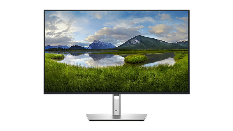 dell pro plus monitor front
